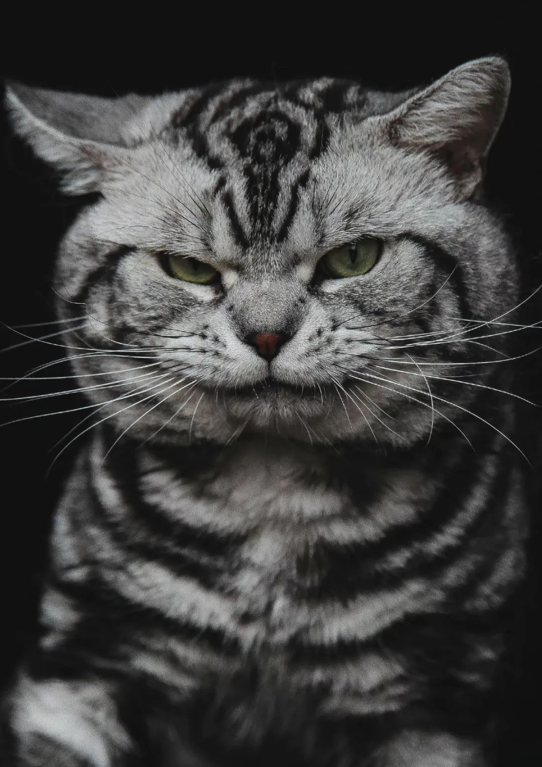 DƬ